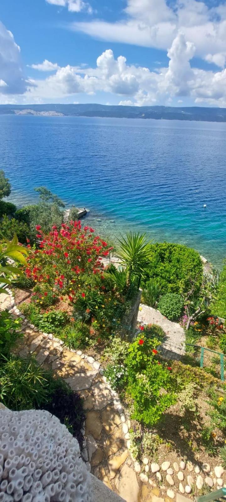 Apartment Toncica Omiš Dış mekan fotoğraf