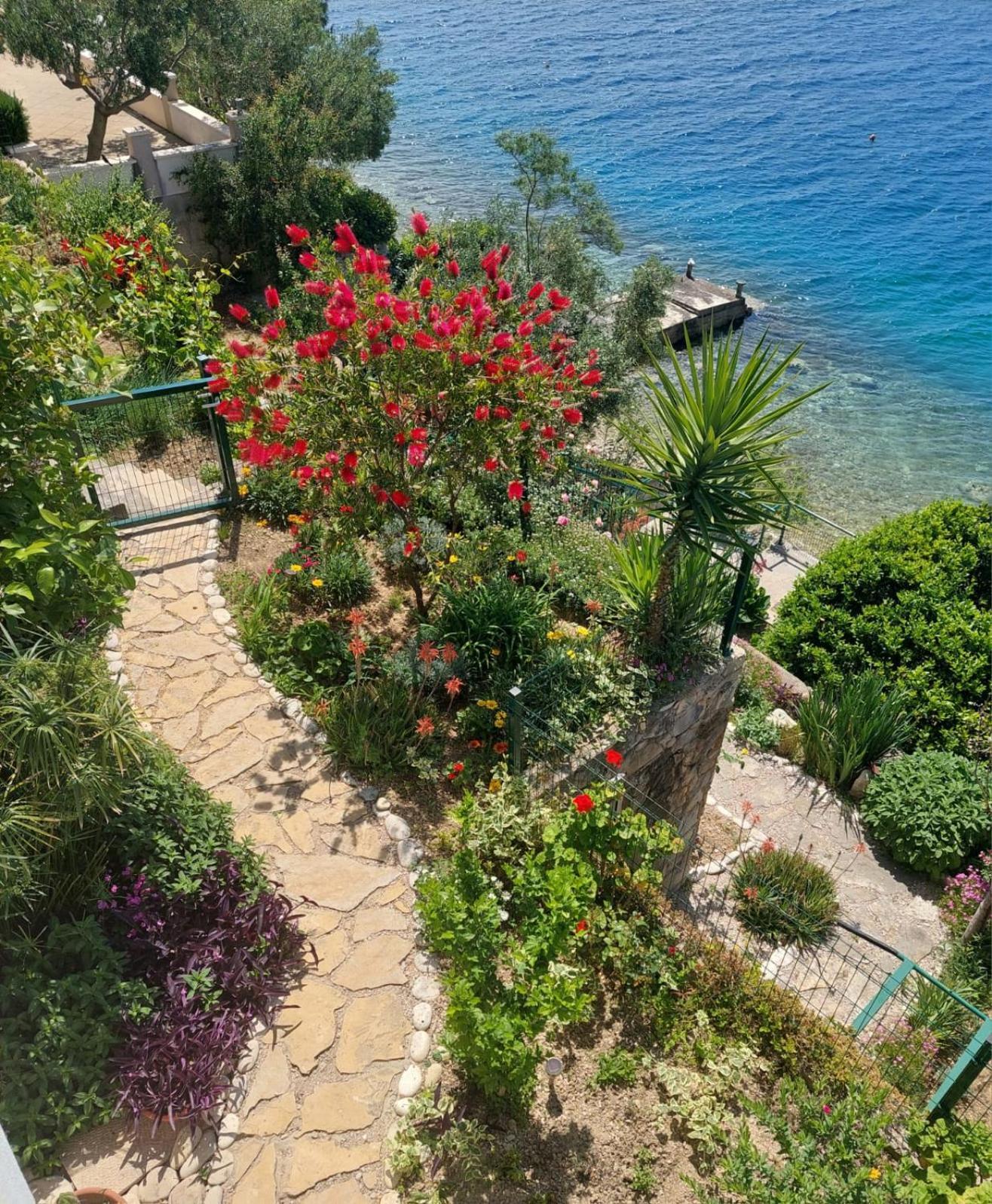 Apartment Toncica Omiš Dış mekan fotoğraf